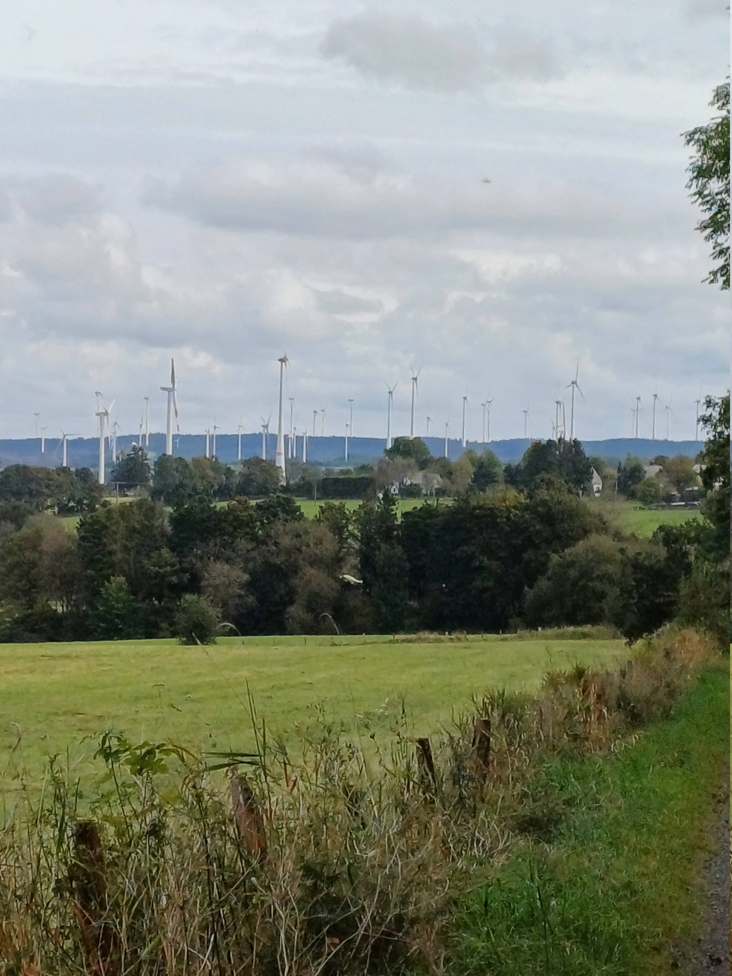 „Wie hier in Losheim sollte im großen Stil Photovoltaikanlagen gebaut werden und das mit den ganzen Windrädern im Hintergrund. Diese Gefahr wurde von der FDP-Fraktion schon immer krititisiert, stand aber mit ihren Bedenken allein im Gemeinderat.“